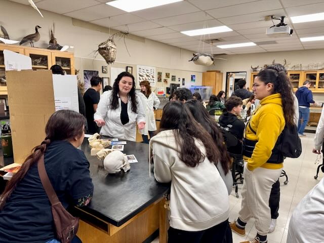 Students listening to a scientist explain the bones in different animal skulls.