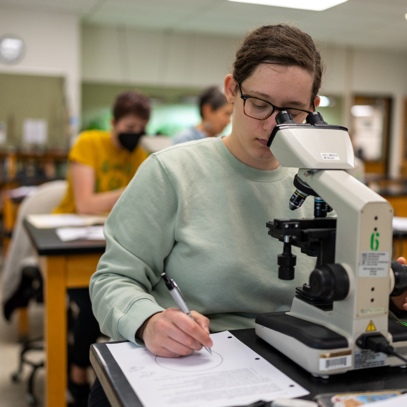 Student using a microscope in the Botany Lab